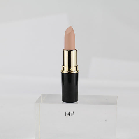 Custom Long Lasting High Quality Matte Lipstick 14 Colors Moisturizing Lipstick Waterproof