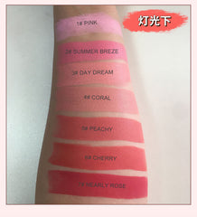 Rouge à lèvres mat longue tenue, 24 couleurs, vente en gros, maquillage végétalien ferme