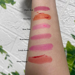 Waterproof Lip Tint Custom Vegan 6 Colors Lipgloss Lip Makeup