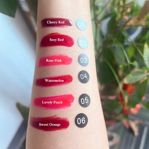 Waterproof Lip Tint Custom Vegan 6 Colors Lipgloss Lip Makeup